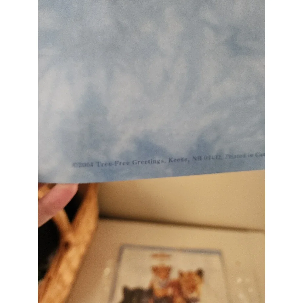 Tree Free Greetings Jumbo Card Jenny Newland Mother's Pride 11x14 Envelope Lot 4